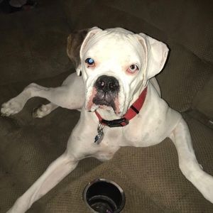 Meet your Posher, Miya